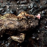 Indigo Tree &lsaquo;Lullabies Of Love And Death&rsaquo;