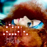 Nick Fenton, Peter Strickland ‹Björk: Biophilia Live›