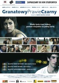 Daniel Sánchez Arévalo &lsaquo;GranatowyPrawieCzarny&rsaquo;