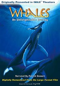 Al Giddings, David Clark, Roger Payne &lsaquo;Świat Wielorybów&rsaquo;