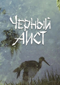 Wiktor Turow &lsaquo;Czarny bocian&rsaquo;