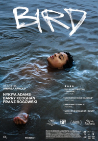 Andrea Arnold &lsaquo;Bird&rsaquo;