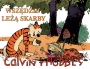 Calvin i Hobbes #10: Wszędzie leżą skarby (wyd.II)