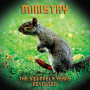 Squirrely Years Revisited