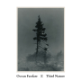 Third Nature