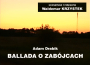 Ballada o zabójcach